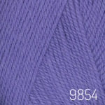 9854 iris