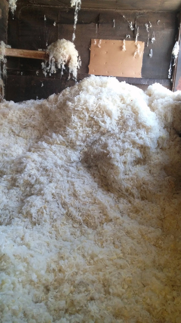 Wool Roving – Heavenly Yarns