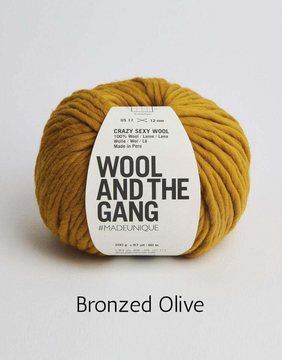 Crazy Sexy Wool by Wool and the Gang (super bulky)