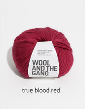 Load image into Gallery viewer, Crazy Sexy Wool by Wool and the Gang (super bulky)
