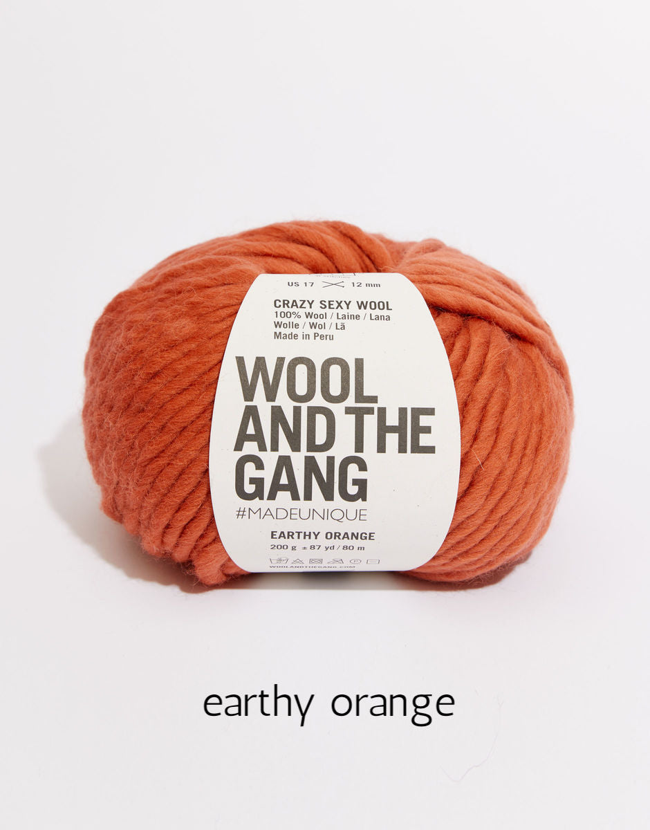 Crazy Sexy Wool by Wool and the Gang super bulky Heavenly