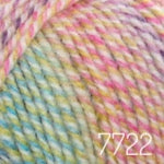 Encore Colorspun (worsted)