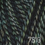 Encore Colorspun (worsted)