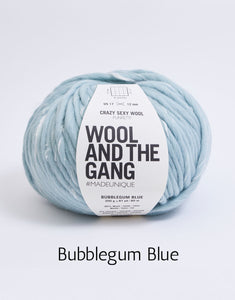Crazy Sexy Wool by Wool and the Gang (super bulky)