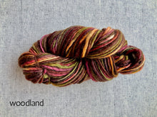 Load image into Gallery viewer, Manos del Uruguay Wool Clasica (aran)
