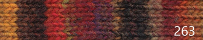 Noro Kureyon (heavy worsted/aran)