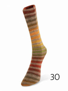 Paint Sock by Laines du Nord (fingering)