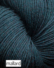 Load image into Gallery viewer, Mousam Falls Sock by Jagger Spun (fingering)
