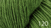 Load image into Gallery viewer, Prairie Spun by Brown Sheep Company (dk)
