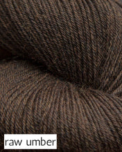 Load image into Gallery viewer, Mousam Falls Sock by Jagger Spun (fingering)
