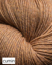 Load image into Gallery viewer, Mousam Falls Sock by Jagger Spun (fingering)
