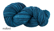 Load image into Gallery viewer, Manos del Uruguay Wool Clasica (aran)
