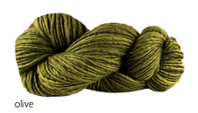 Load image into Gallery viewer, Manos del Uruguay Wool Clasica (aran)
