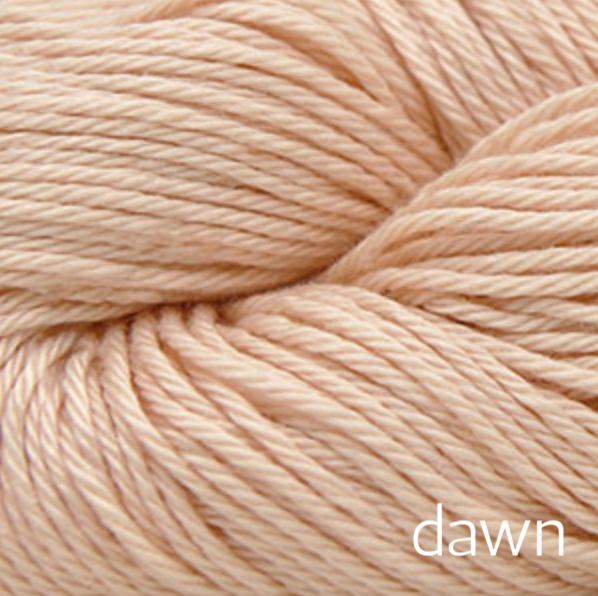 3863 dawn (shell)