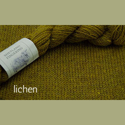 03 lichen