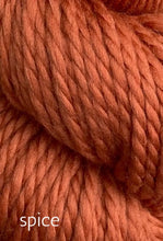 Load image into Gallery viewer, Berwick Bulky by Jagger Spun

