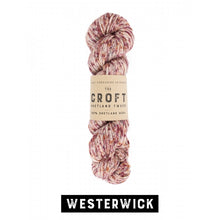 Load image into Gallery viewer, Croft Shetland Tweed &amp; Solid (aran)
