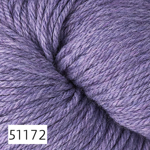 51172 iris