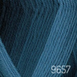 Encore Colorspun (worsted)