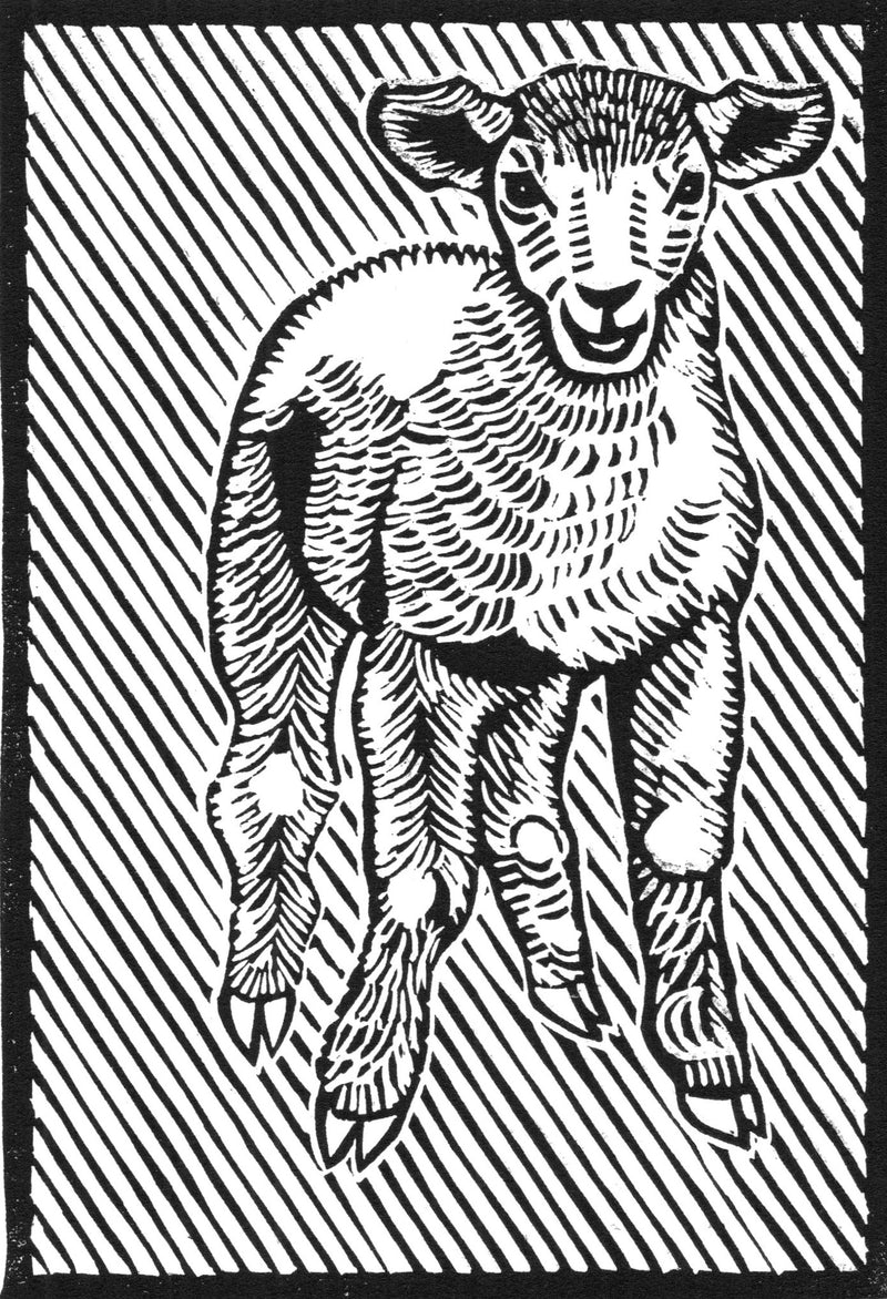 Lamb