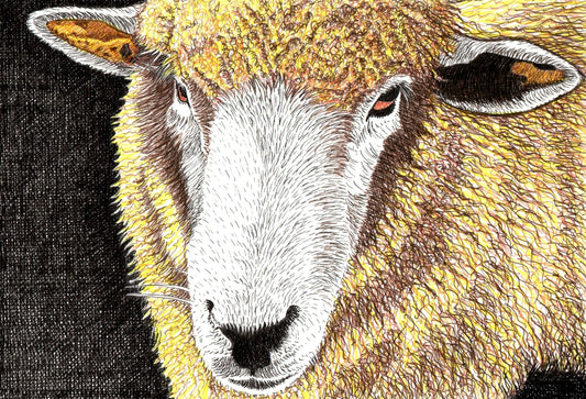 Note Cards by Leslie Moore