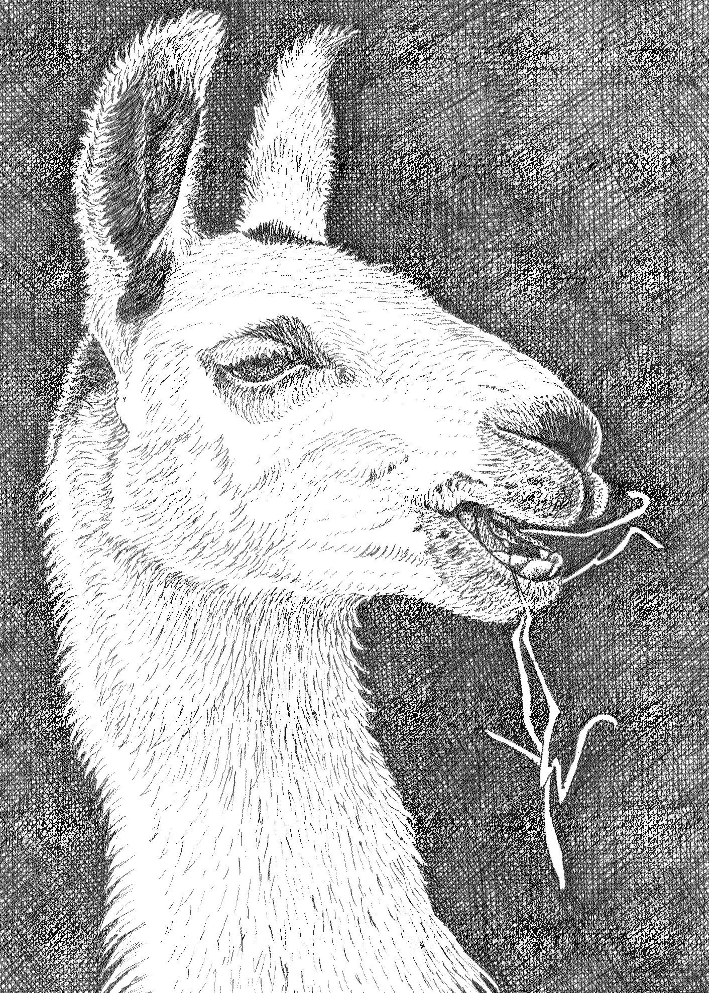 Note Cards by Leslie Moore