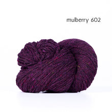 Load image into Gallery viewer, Lucky Tweed by Kelbourne Woolens (aran)
