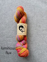Load image into Gallery viewer, Feederbrook Farm Entropy DK
