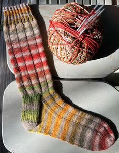 Paint Sock by Laines du Nord (fingering)