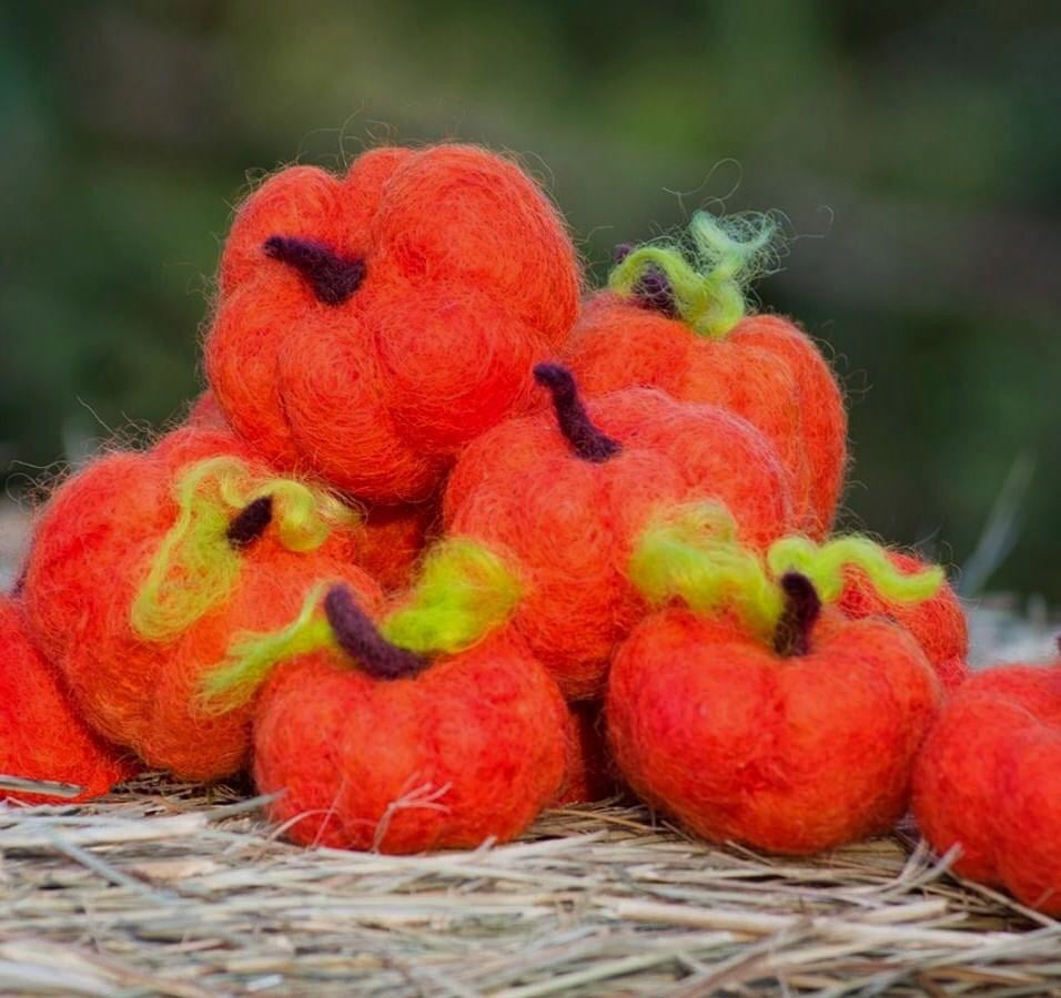 Needle Felting Pumpkin Kit from Integrity Farm