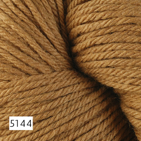 5144 Cork (camel)