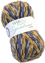 Load image into Gallery viewer, Signature 4-ply Sock by West Yorkshire Spinners (fingering)
